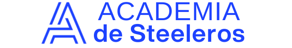 academiadesteeleros.com